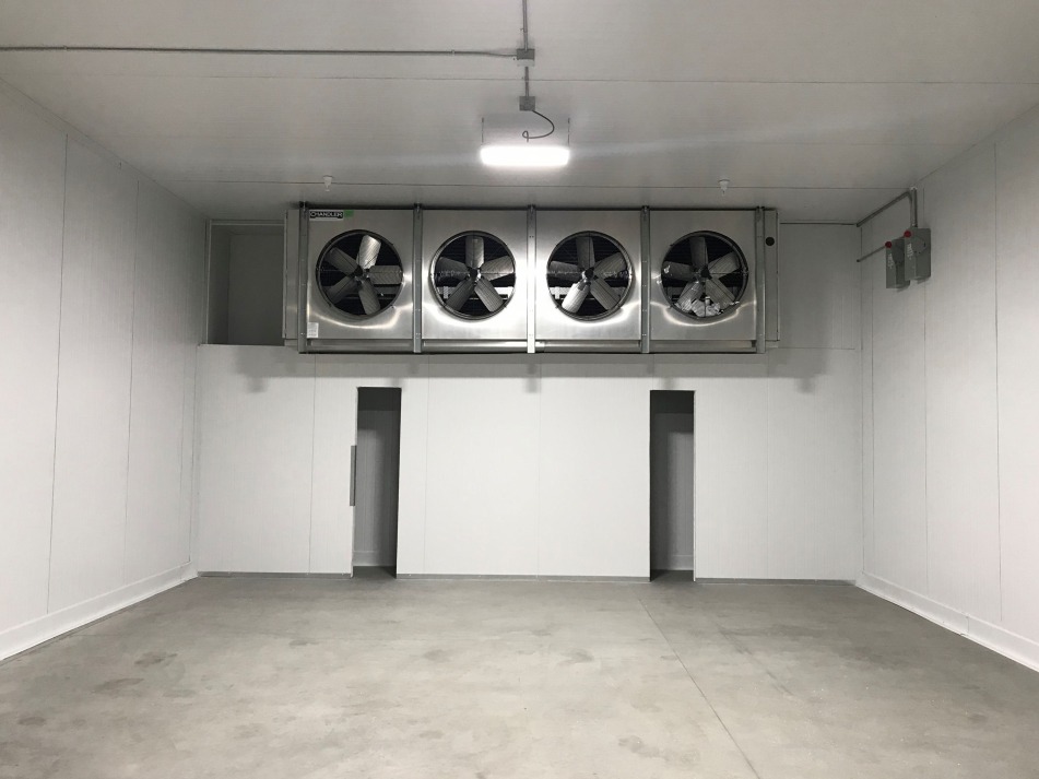 bg-image: Henry Avocado